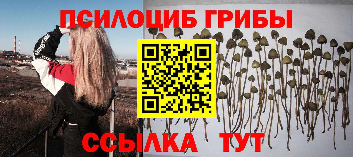 Псилоцибиновые грибы ЛСД  Вход с VPN  Кисловодск 